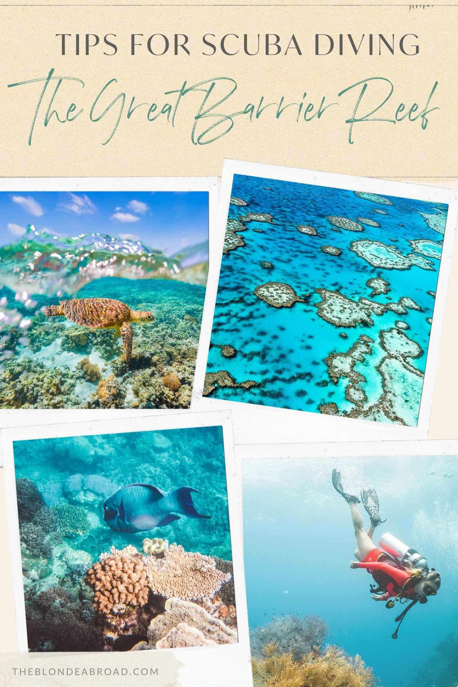 Tips for Scuba Diving the Great Barrier Reef - 1