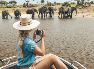 best travel link august