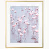 Fine Art Print Flamingos Namibia Fine Art Print Flamingos Namibia