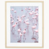 Fine Art Print Flamingos Namibia Fine Art Print Flamingos Namibia