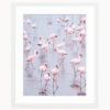 Fine Art Print Flamingos Namibia Fine Art Print Flamingos Namibia