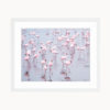 Namibia Flamingos Art Print Namibia Flamingos Art Print