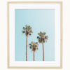Palm Tree Art Print Palm Tree Art Print