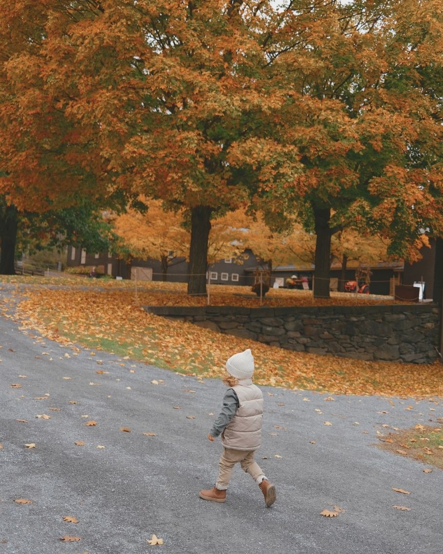 New England Fall Map Product (7) New England Fall Map Product (7)